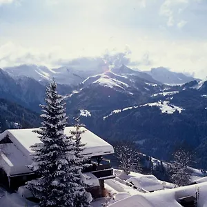 Hotel Les Chalets-hôtel De La Croix-fry